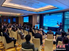 携手创未来 海外侨青相聚上海“解锁”发展新可能